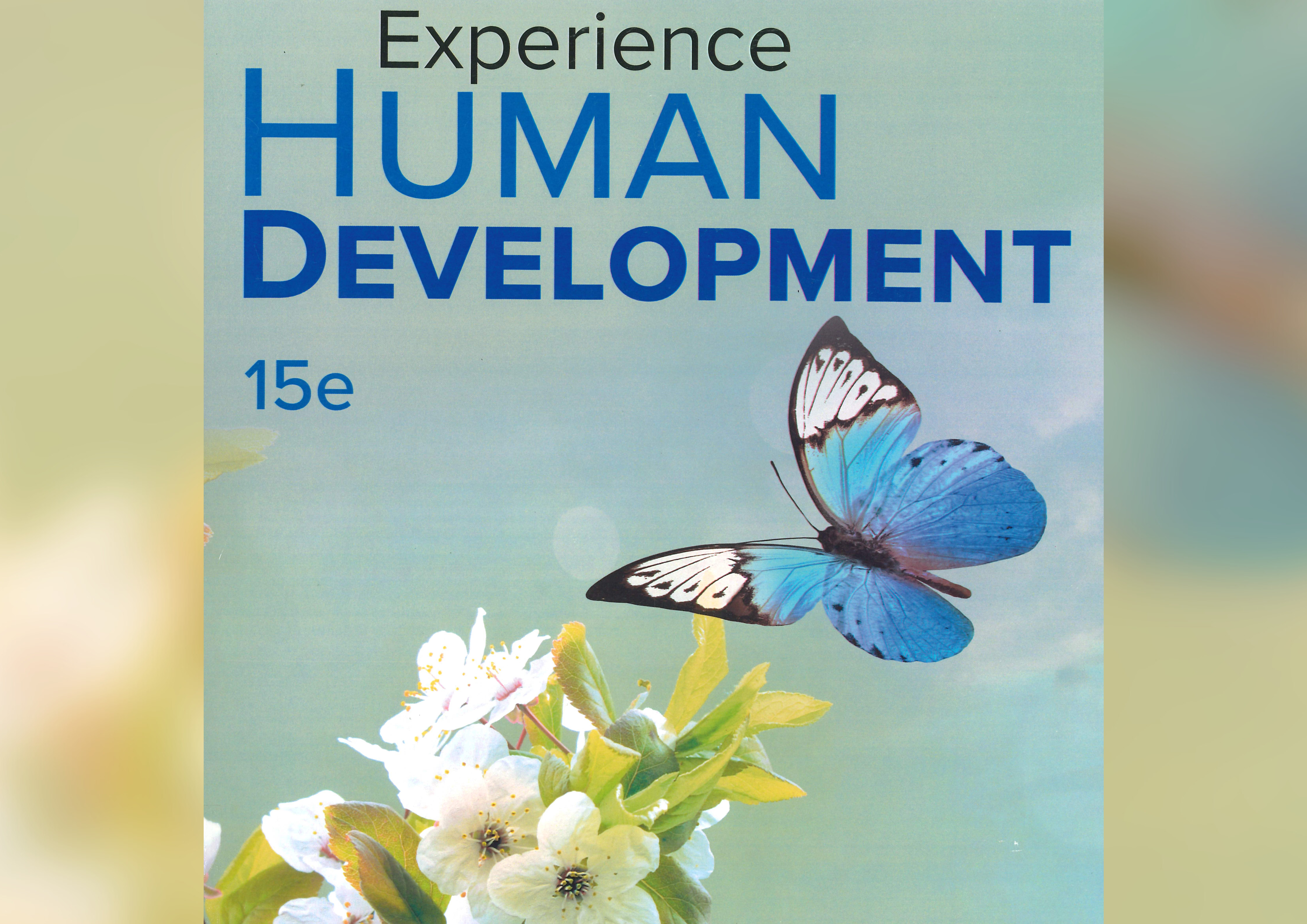 Experience human development